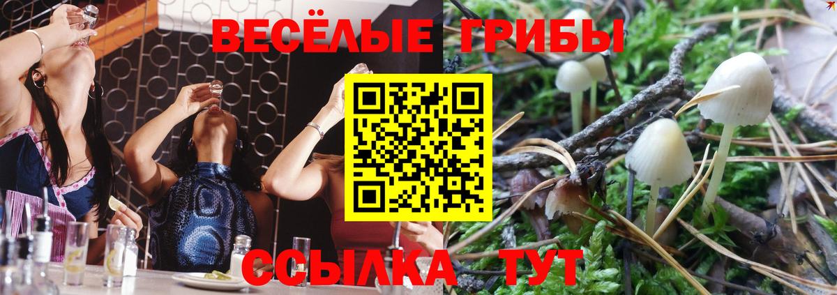 Галлюциногенные грибы Magic Shrooms Ипатово